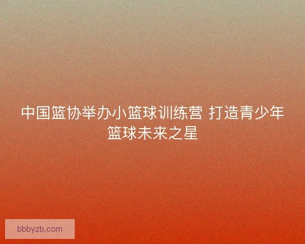 中国篮协举办小篮球训练营 打造青少年篮球未来之星
